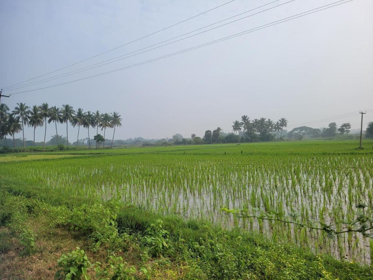 Tanjore Home Stay Thanjavur Exteriör bild