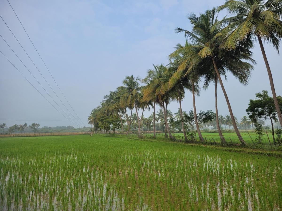 Tanjore Home Stay Thanjavur Exteriör bild