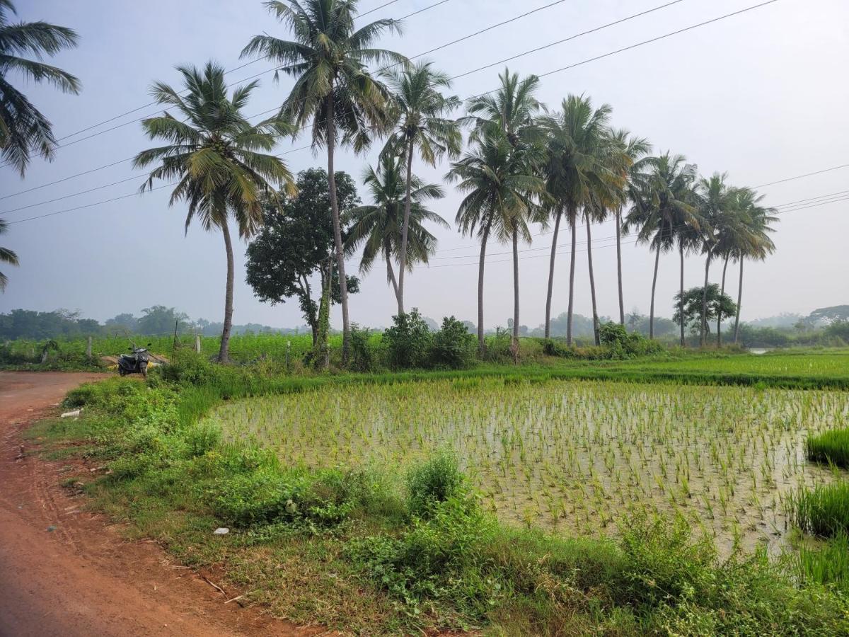 Tanjore Home Stay Thanjavur Exteriör bild