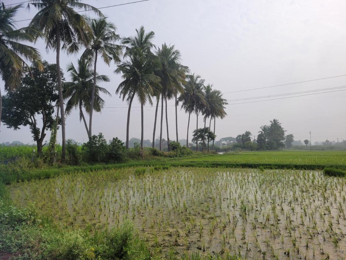 Tanjore Home Stay Thanjavur Exteriör bild