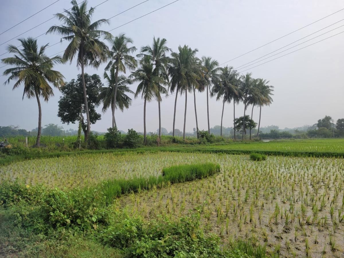 Tanjore Home Stay Thanjavur Exteriör bild